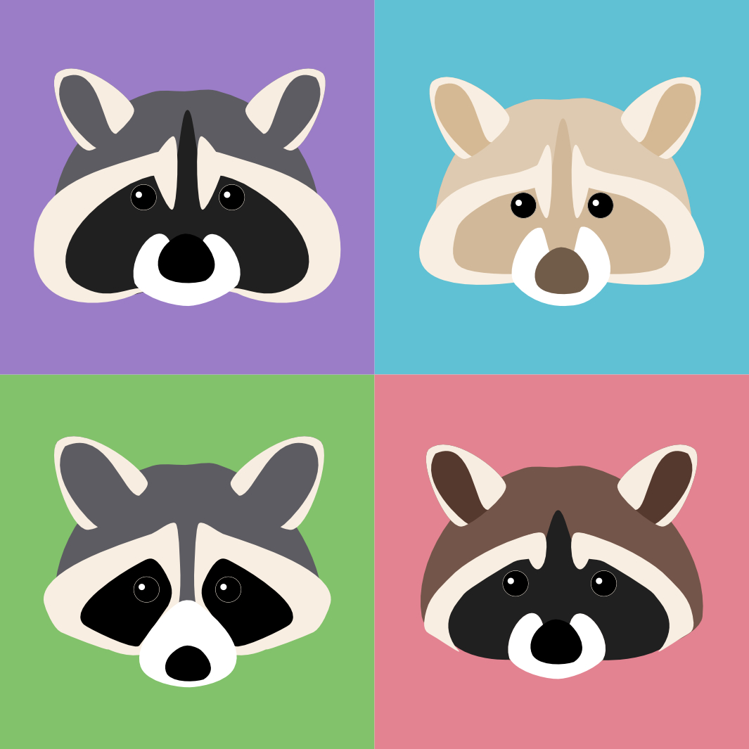 Vector image of 4 variations of a raccoon face
